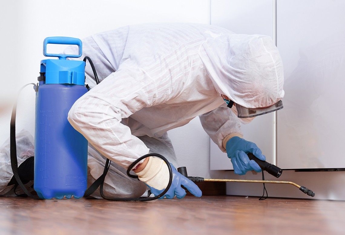 Désinsectisation Courbevoie